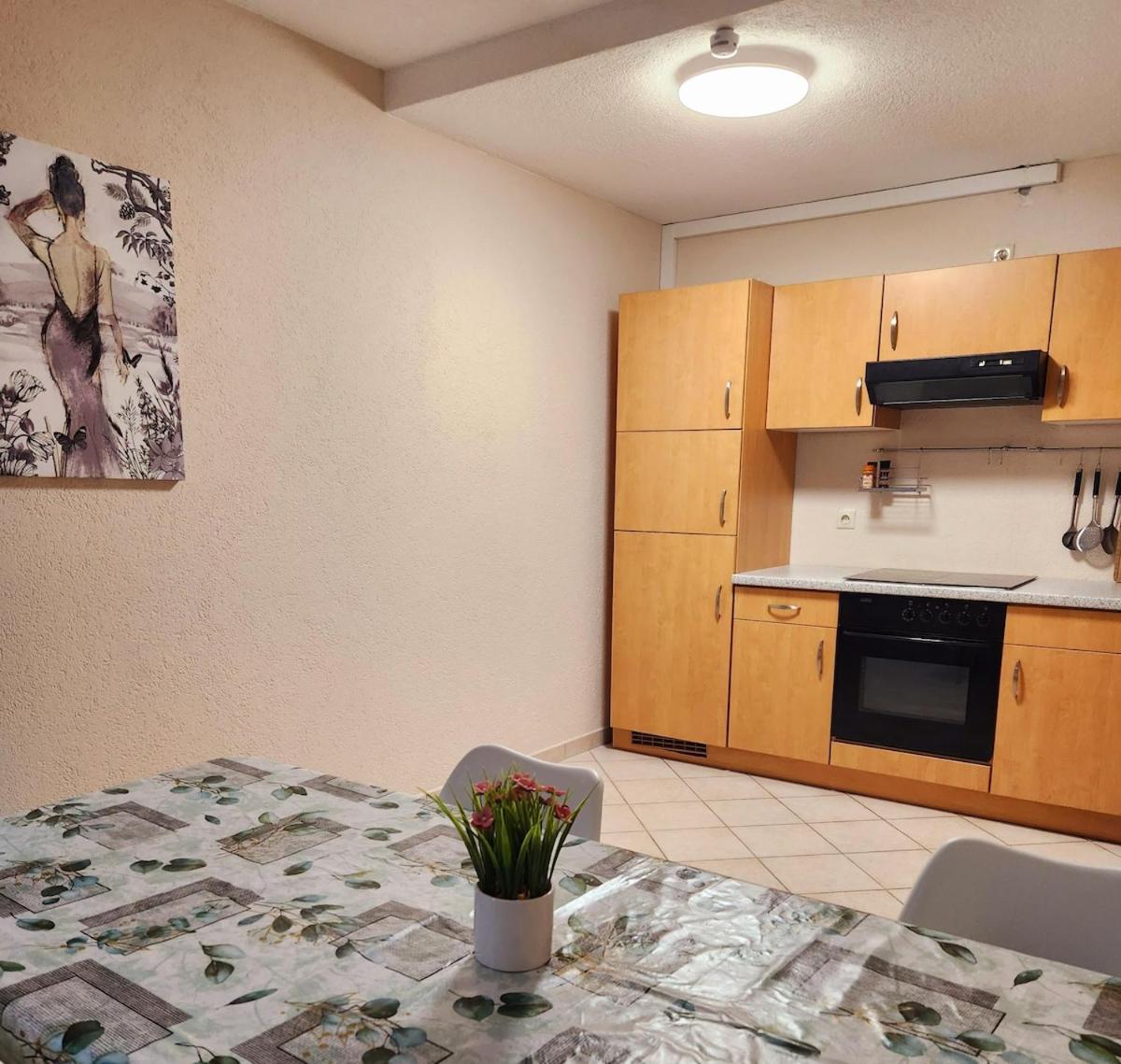 Sj Apartment ケムニッツ エクステリア 写真